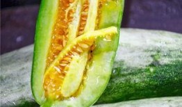 各种网红的瓜去哪吃,跟随网红脚步，探寻美食天堂