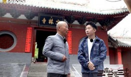 网友爆料少林寺视频播放,网友爆料视频揭秘千年古刹